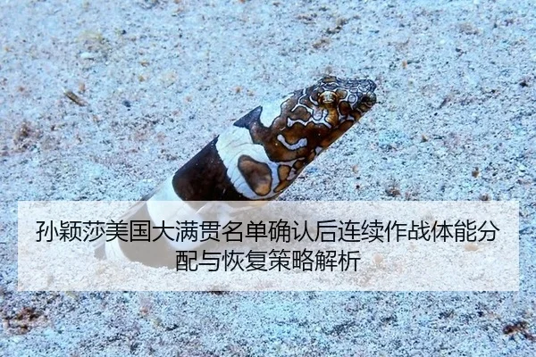孙颖莎美国大满贯名单确认后连续作战体能分配与恢复策略解析