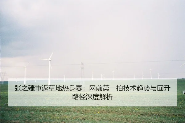 zhang-zhi-zhen-chong-fan-cao-di-re-shen-sai-wang-qian-di-yi-pai-ji-shu-qu-shi-yu-hui-sheng-lu-jing-shen-du-jie-xi-2-441.jpg